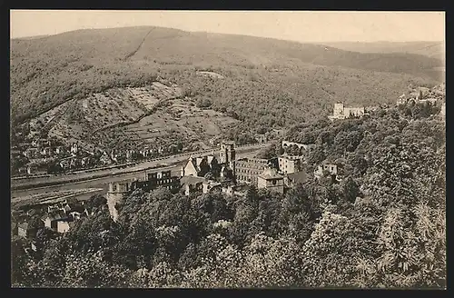 AK Heidelberg / Neckar, Schloss von der Molkenkur aus gesehen