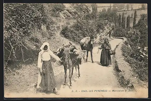 AK Les Pyrénées, Marchande de Bois