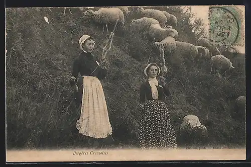 AK Creuse, Bergères Creusoises