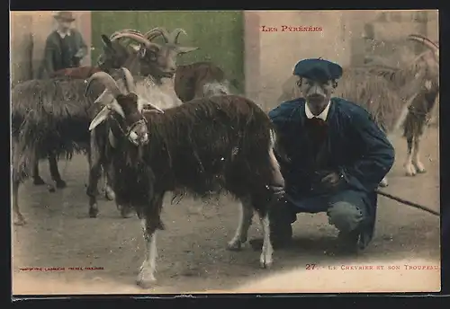 AK Les Pyrénées, le Chevrier et son Troupeau