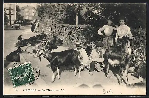 AK Lourdes, Les Chèvres, Partie mit Ziegen