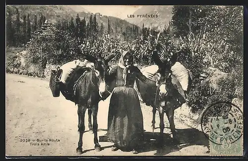 AK Les Pyrénées, Sur la Route - Trois Amis, Magd mit Packeseln