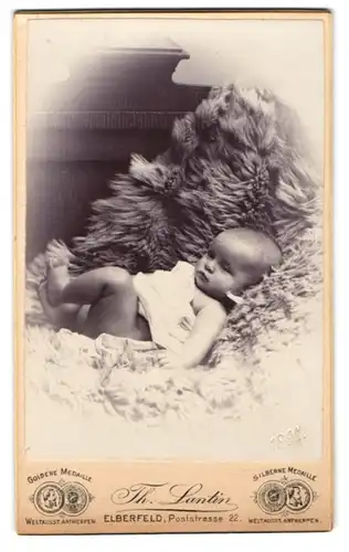 Fotografie Th. Lantin, Elberfeld, Poststrasse 22, Baby im weissen Gewand in einen Pelz eingekuschelt