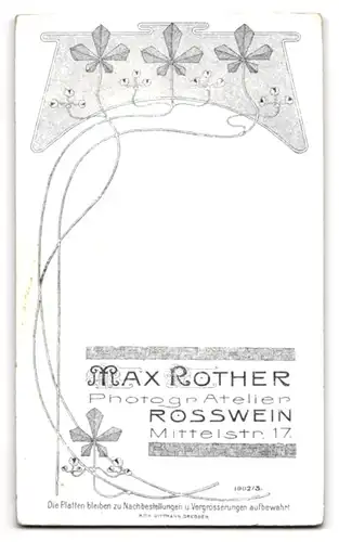 Fotografie Max Rother, Rosswein, Mittelstr. 17, Jugendlicher Knabe mit pomadisiertem Haar und gestreifter Fliege