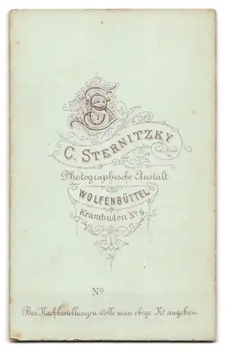 Fotografie C. Sternitzky, Wolfenbüttel, Krambuden 6, Junger Mann mit stilsicherem Seitenscheitel und stoischem Blick