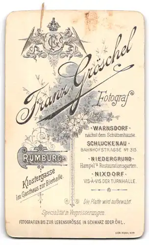 Fotografie F. Gröschel, Rumburg, Klostergasse, Junge Dame im Kleid mit Puffärmeln und stark verziertem Revers