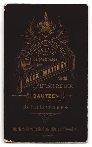 Fotografie Alfr. Schreiber, Bautzen, Schulstrasse, Älterer Herr mit lichtem Haar und gepflegtem Kinnbart