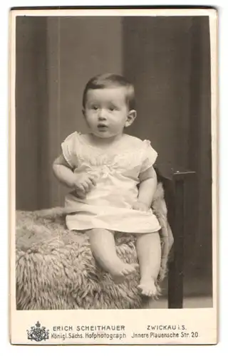 Fotografie Erich Scheithauer, Zwickau i. S., Innere Plauensche Str. 20, Kleinkind mit aufmerksamem Blick auf einem Pelz