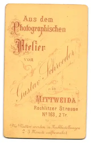 Fotografie Gustav Schroeder, Mittweida, Rochlitzer Strasse 163, Knabe mit lockigem Haar, bestimmtem Blick und Fliege