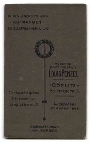 Fotografie Louis Penzel, Görlitz, Schützenstr. 3, Sitzendes Kleindkind im feinkarierten Kleid mit stehendem Bruder