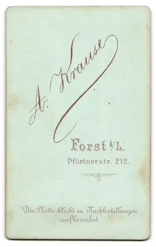 Fotografie A. Krause, Forst i. L., Pförtnerstr. 212, Junger Herr in schlichtem Anzug mit Locken u. Fliege