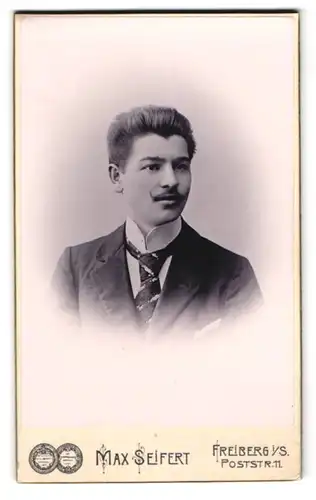 Fotografie Max Seifert, Freiberg i. S., Poststr. 11, Eleganter Herr mit Schnauzbart u. breiter Krawatte