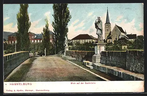 AK Hammelburg, Blick auf der Saalebrücke