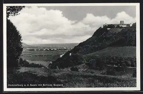 AK Hammelburg a. d. Saale, Ortsansicht mit Schloss Saaleck