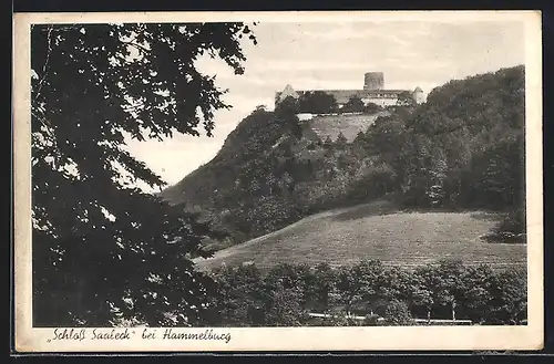 AK Hammelburg a. d. Saale, Blick auf Schloss Saaleck