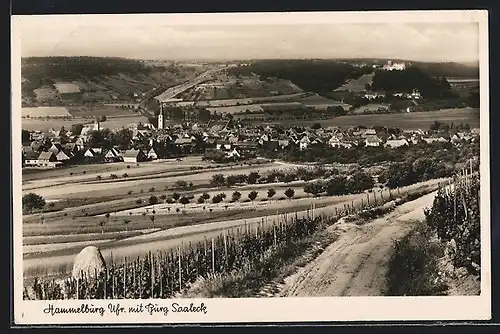AK Hammelburg, Ortsansicht mit Burg Saaleck
