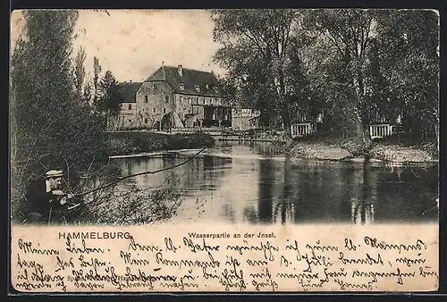 AK Hammelburg, Wasserpartie an der Insel