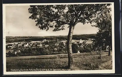 AK Schömberg, Ortsansicht hinter Bäumen