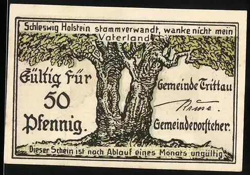 Notgeld Trittau i. Holst., 50 Pfennig, Strassenpartie mit Kirche
