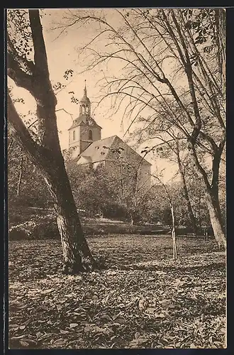 AK Molsdorf /Erfurt, Kirche und Umgebung, erbaut um 1720