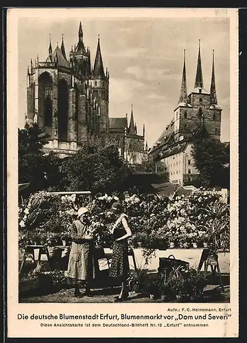 AK Erfurt, Blumenmarkt vor Dom und Severi