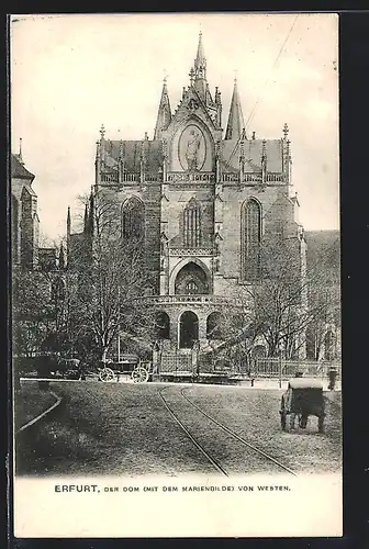 AK Erfurt, Der Dom( mit dem Marienbilde) von Westen