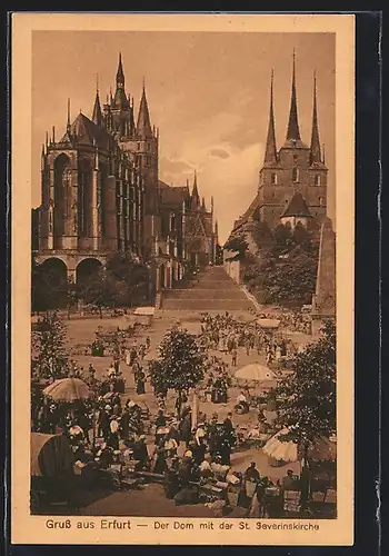 AK Erfurt, Markttreiben vor dem Dom, St. Severinskirche