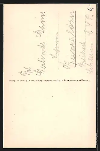 AK Erfurt, Thomaskirche mit Umgebung