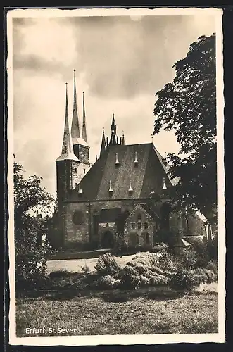 AK Erfurt, St. Severi von Grünanlage aus