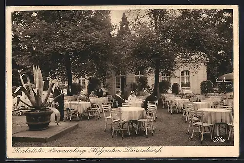 AK Düsseldorf, Gaststätte Ananasberg im Hofgarten