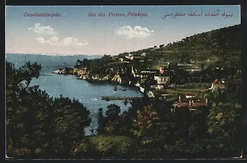 AK Constantinople, Iles des Princes, Prinkipo