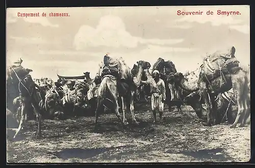 AK Smyrne, Campement de chameaux