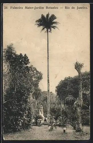 AK Rio de Janeiro, Palmeira Mater-Jardim Botanico