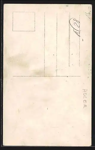 Foto-AK Auto Adler, KFZ vorm Hotel Ratskeller