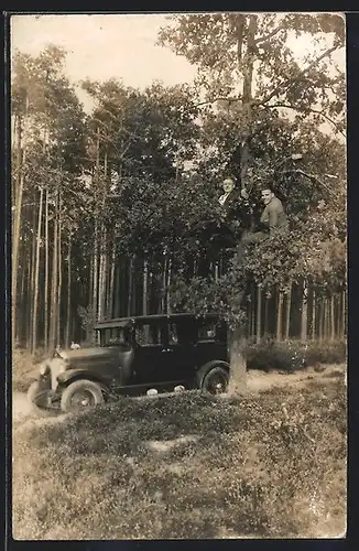 Foto-AK Auto Opel 12 /50 1927 /28, Zwei Herren im Baum vor KFZ im Wald