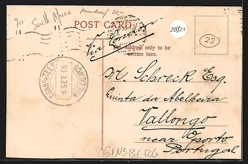 AK Ginsberg, Ginsberg G. M. C., On the Rand