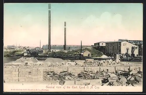 AK Mogale City, East Rand G. M. Coy., General View