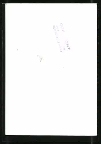 AK Opernsänger Ezio di Cesare in Tito Manlio, mit original Autograph