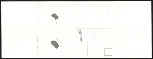 Klapp-AK Heidelberg, Panorama der Stadt mit Schloss u. Bergen