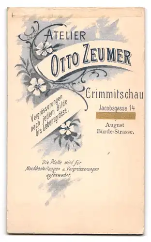 Fotografie Otto Zeumer, Crimmitschau, Jacobsgasse 14, Hübsche Dame mit gewelltem Haar u. aufwendig verziertem Kleid