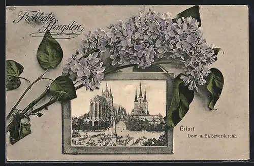 AK Erfurt, Dom und St. Severikirche, Blumen, Pfingstgruss