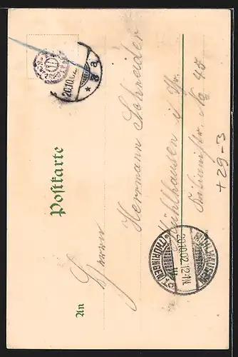 Passepartout-Lithographie Erfurt /Thüringen, Dom und Severikirche, Frau in Tracht