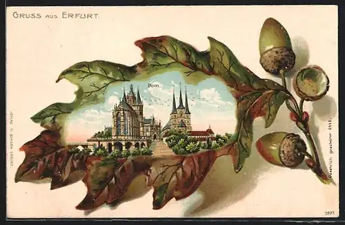 Passepartout-Lithographie Erfurt, Dom im Eichenblatt