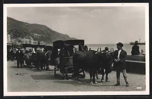 AK Madeira-Funchal, Carro de bois