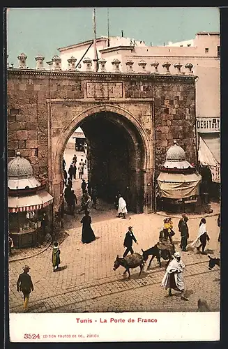 AK Tunis, la porte de france, Esel