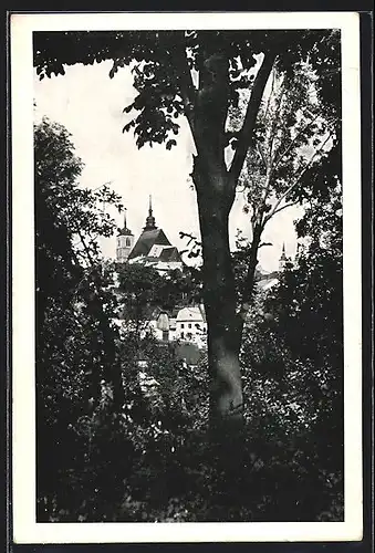 AK Iglau, Blick durch die Bäume auf die Stadt