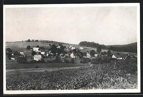 AK M. Krischanek, Blick von der Wiese auf den Ort