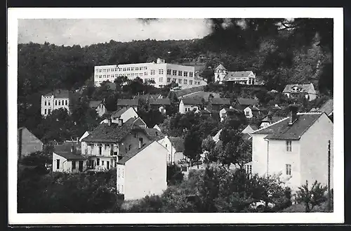 AK Brünn / Brno, Panorama