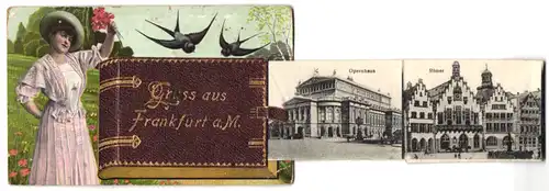 Leporello-AK Frankfurt a. M., Ansichtskartenalbum mit Bildern, Hauptbahnhof, Opernhaus, Römer, Schauspielhaus