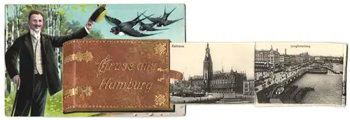 Leporello-AK Hamburg, Buch mit Bildern, Rathaus, Jungfernstieg, St. Pauli-Fährhaus, Alster-Pavillon, Bismarckdenkmal